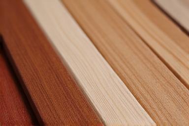 Gros plan sur différentes essences de bois d'harmonie